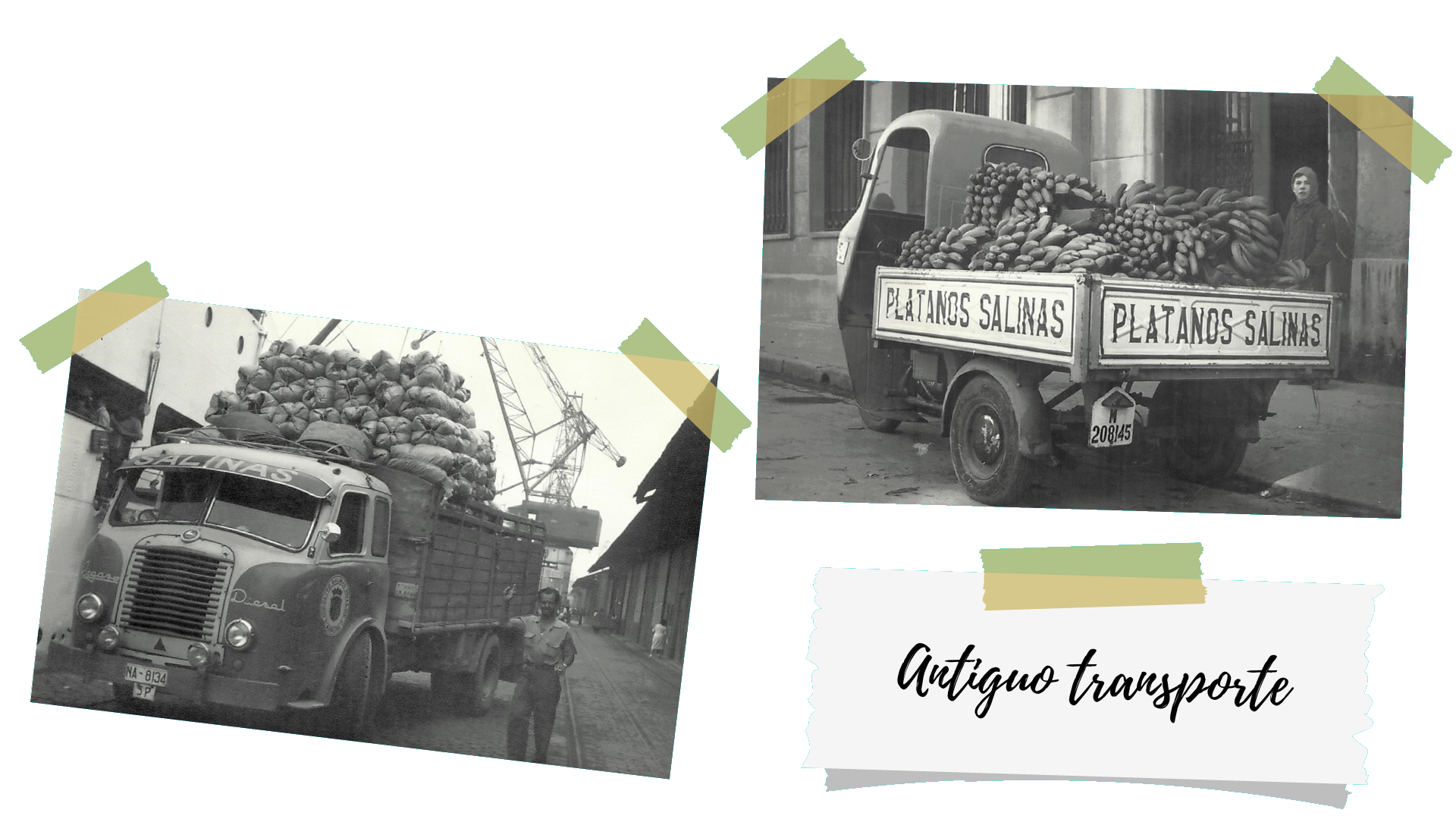 PLATANOS-SALINAS-transporte-hace-90-años